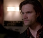 SPN_1608.jpg
