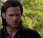 SPN_0219.jpg