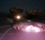 SPN_0261.jpg