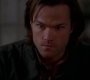 SPN_0341.jpg
