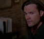 SPN_0363.jpg