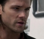 SPN_0693.jpg