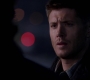 SPN_0940.jpg