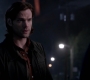 SPN_0944.jpg