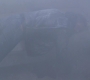 SPN_1118.jpg