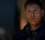 SPN_1176.jpg