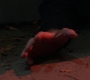 SPN_1346.jpg