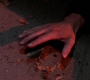 SPN_1354.jpg