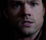 SPN_1373.jpg
