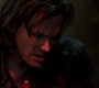 SPN_1461.jpg