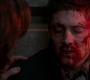 SPN_1479.jpg
