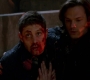 SPN_1508.jpg