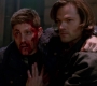 SPN_1514.jpg