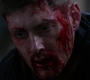 SPN_1546.jpg