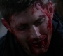 SPN_1548.jpg