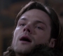 SPN_1568.jpg