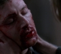 SPN_1583.jpg