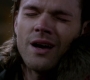 SPN_1591.jpg