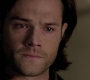 Filename=SPN_1642.jpg
Filesize=43KiB
Dimensions=1280x718
Date added=Sep 30, 2021 SPN_1642.jpg