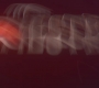 Filename=WIN_0024.jpg
Filesize=54KiB
Dimensions=1920x872
Date added=Oct 12, 2022 WIN_0024.jpg