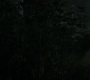 Filename=WIN_1647.jpg
Filesize=136KiB
Dimensions=1920x872
Date added=Oct 30, 2022 WIN_1647.jpg