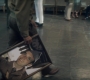 Filename=WIN_0582.jpg
Filesize=146KiB
Dimensions=1920x872
Date added=Nov 16, 2022 WIN_0582.jpg