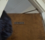 Filename=WIN_0829.jpg
Filesize=63KiB
Dimensions=1920x872
Date added=Nov 16, 2022 WIN_0829.jpg