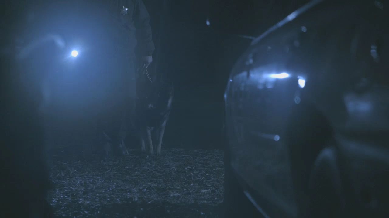 101TeenWolf0005.jpg
