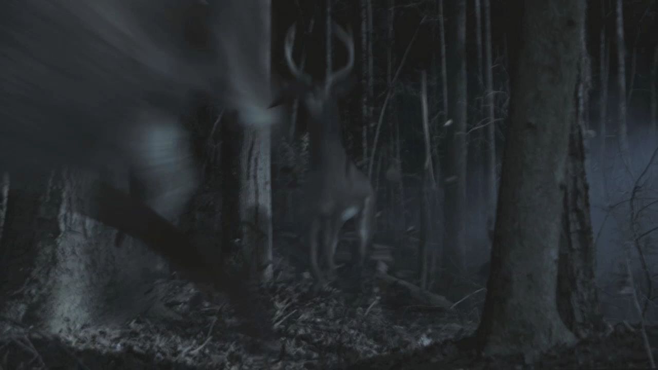 101TeenWolf0154.jpg