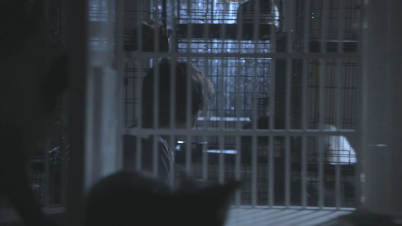 101TeenWolf0574.jpg