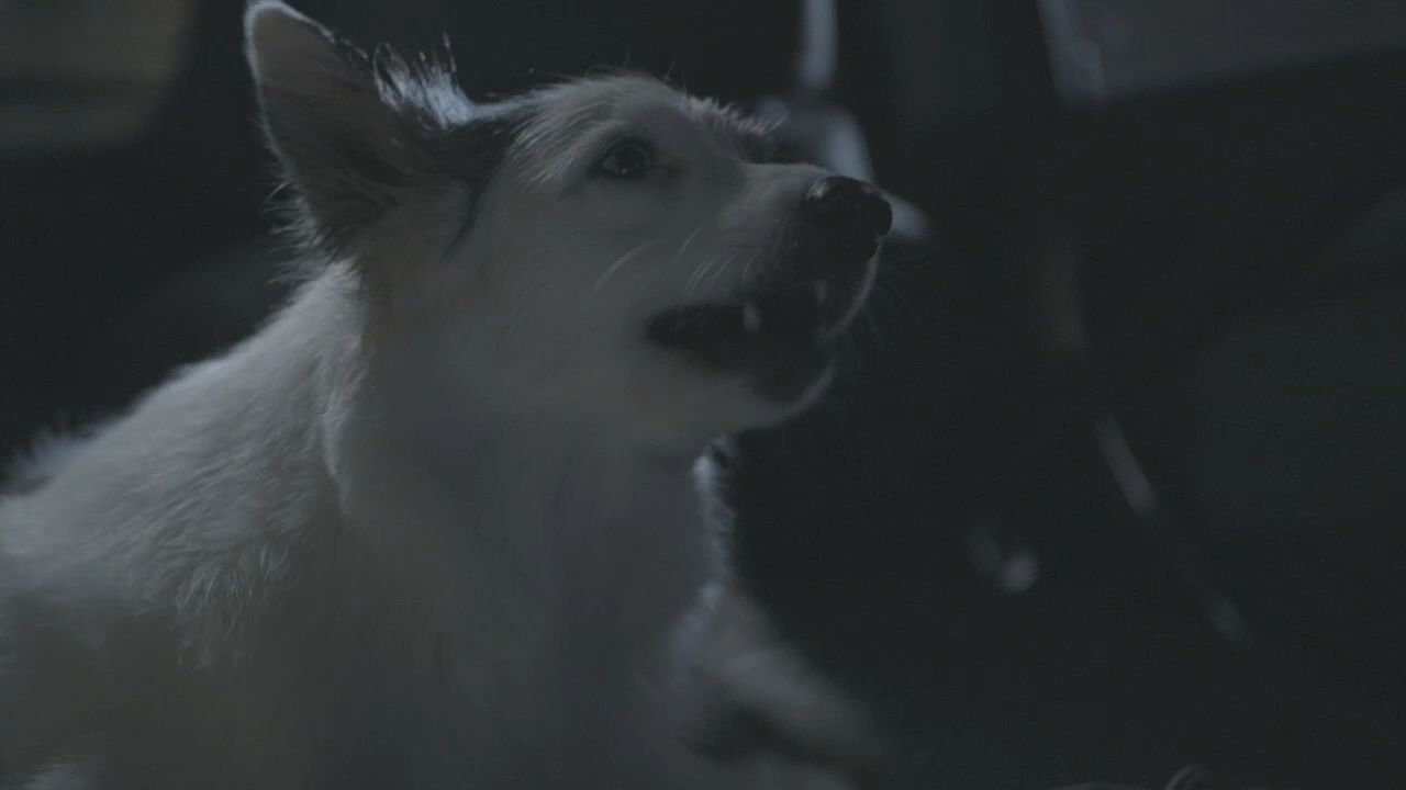101TeenWolf0612.jpg