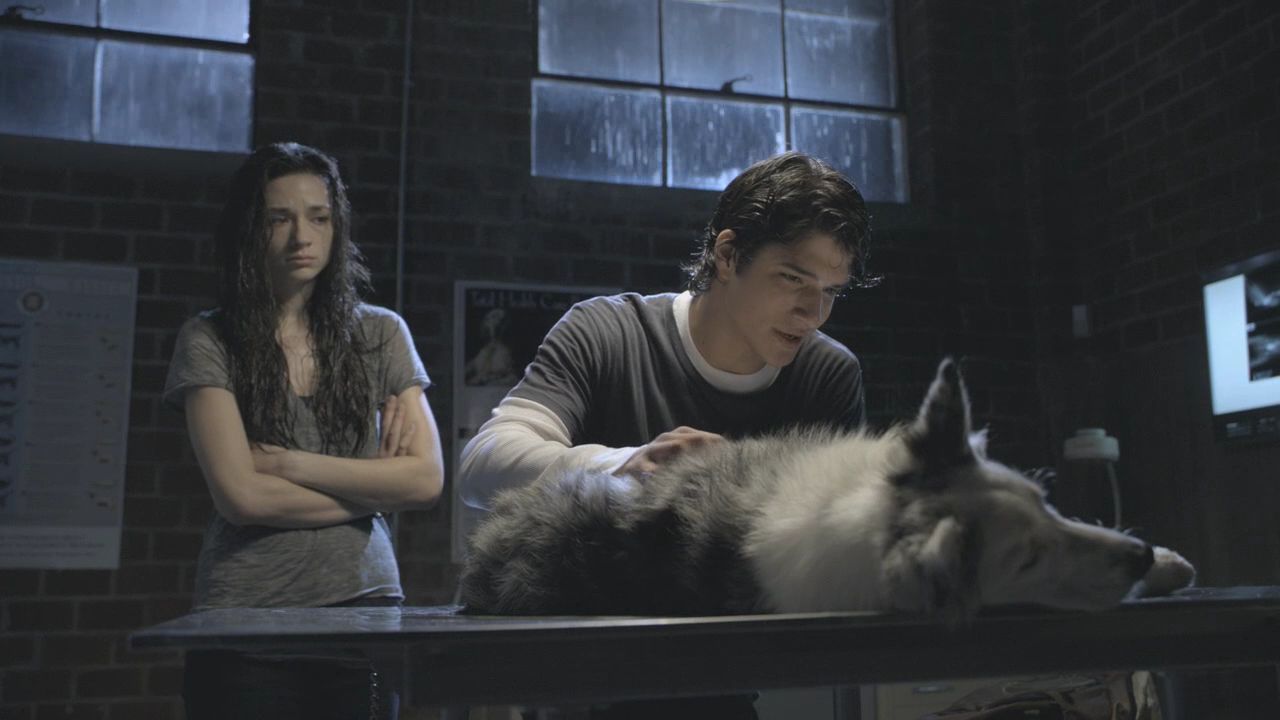 101TeenWolf0622.jpg