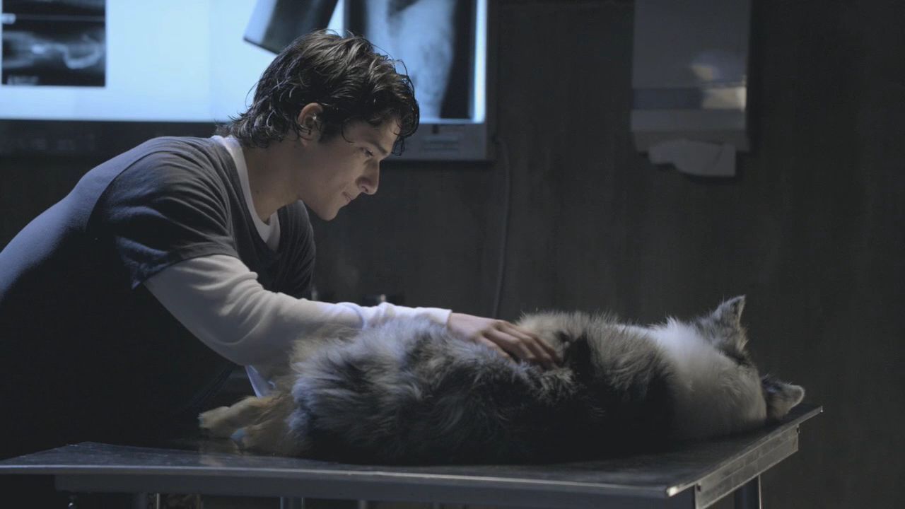 101TeenWolf0629.jpg