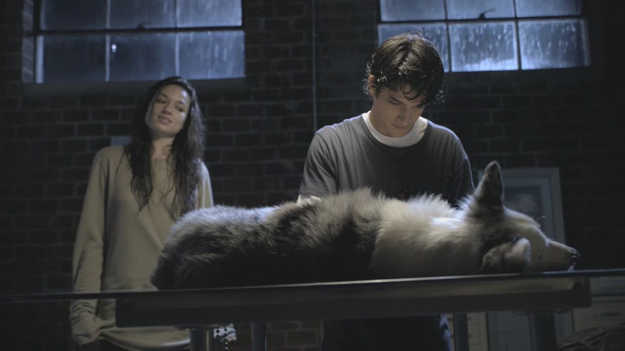 101TeenWolf0647.jpg