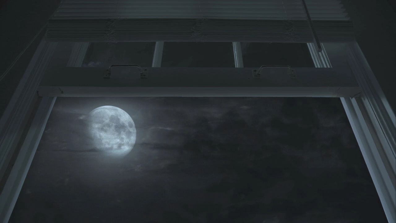 101TeenWolf0736.jpg