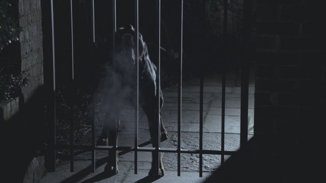 101TeenWolf1061.jpg