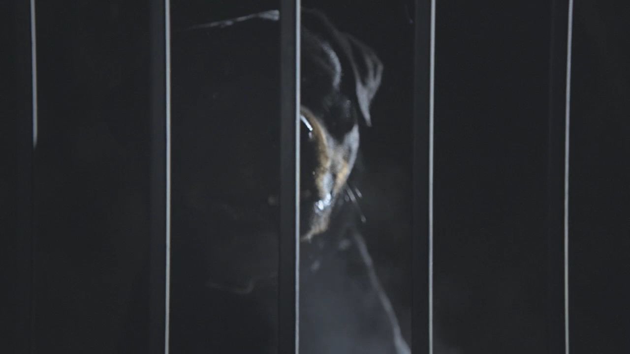 101TeenWolf1063.jpg