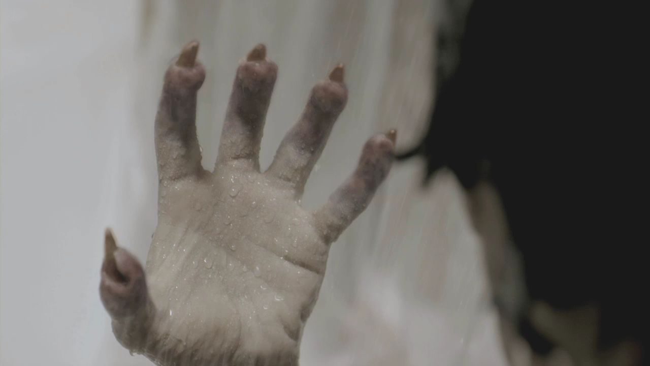 101TeenWolf1181.jpg