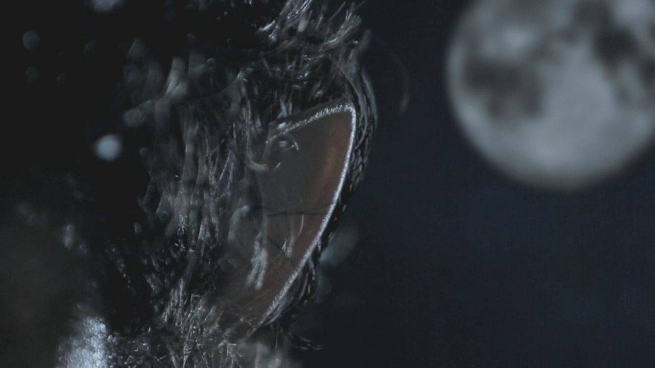 101TeenWolf1216.jpg