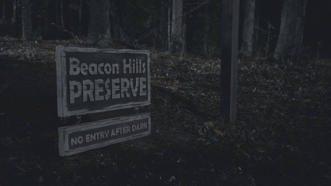 101TeenWolf1220.jpg