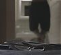 Filename=101TeenWolf0021.jpg
Filesize=43KiB
Dimensions=1280x720
Date added=Jul 02, 2011 101TeenWolf0021.jpg