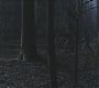Filename=101TeenWolf0069.jpg
Filesize=74KiB
Dimensions=1280x720
Date added=Jul 02, 2011 101TeenWolf0069.jpg
