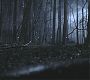 Filename=101TeenWolf0091.jpg
Filesize=84KiB
Dimensions=1280x720
Date added=Jul 02, 2011 101TeenWolf0091.jpg