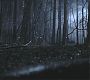 Filename=101TeenWolf0093.jpg
Filesize=85KiB
Dimensions=1280x720
Date added=Jul 02, 2011 101TeenWolf0093.jpg