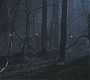 Filename=101TeenWolf0099.jpg
Filesize=71KiB
Dimensions=1280x720
Date added=Jul 02, 2011 101TeenWolf0099.jpg
