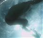 Filename=101TeenWolf0769.jpg
Filesize=52KiB
Dimensions=1280x720
Date added=Jul 02, 2011 101TeenWolf0769.jpg