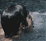 Filename=101TeenWolf0773.jpg
Filesize=75KiB
Dimensions=1280x720
Date added=Jul 02, 2011 101TeenWolf0773.jpg