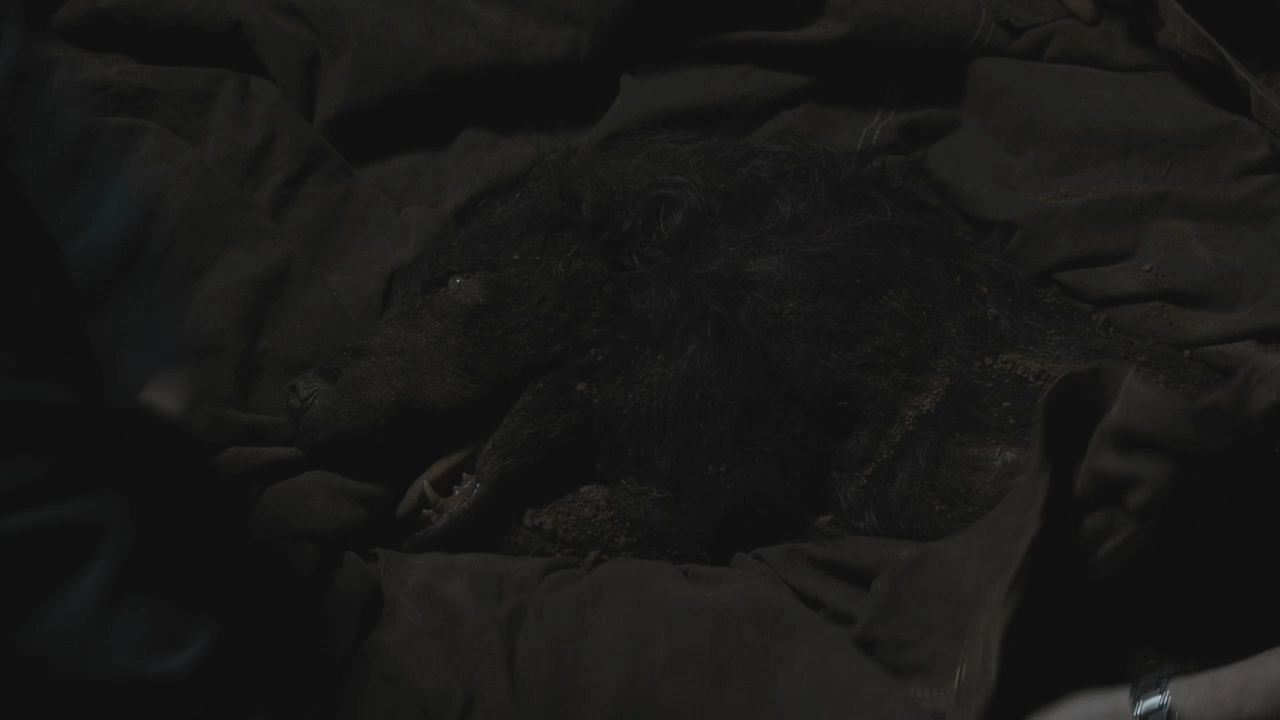 102TeenWolf0651.jpg