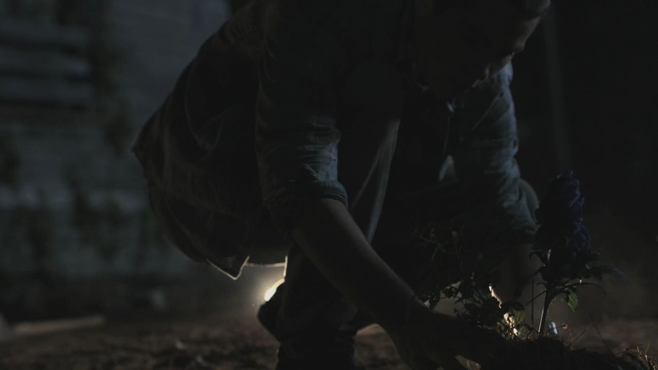 102TeenWolf0678.jpg