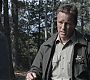 102TeenWolf0770.jpg